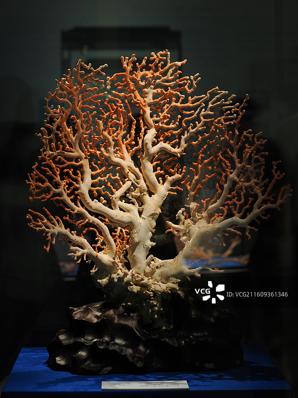 精美的珊瑚雕图片素材