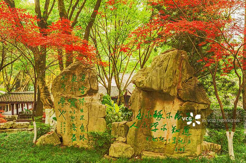 金秋十月的中华美德公园图片素材