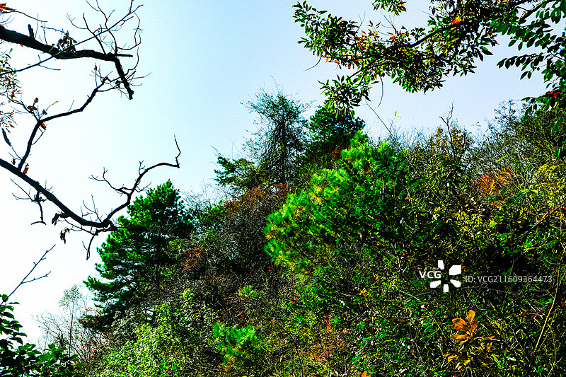 中国贵州黔东南施秉云台山风光，国家地质公园，世界自然遗产，国家4A级景区，村庄，彩林，灌木，碑刻，图片素材