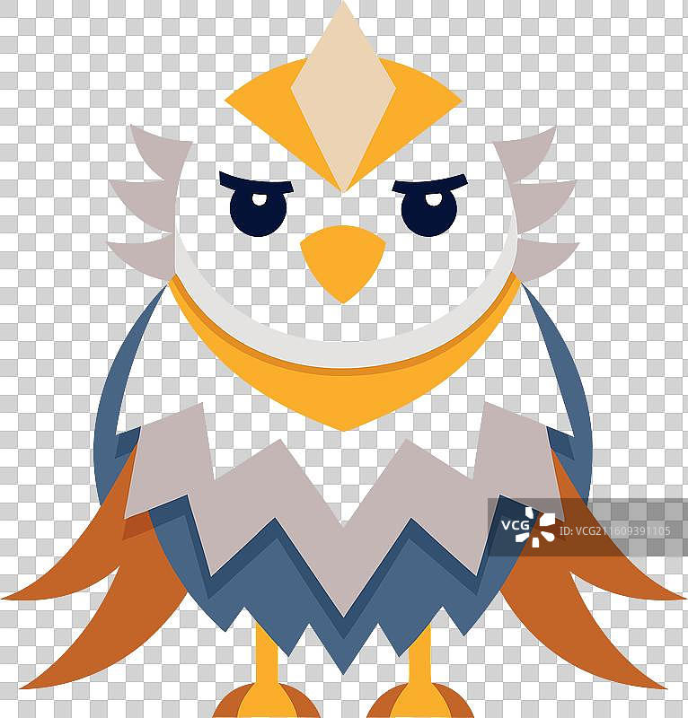 加拉帕戈斯拟鲣鸟，可爱地歪着头图片素材