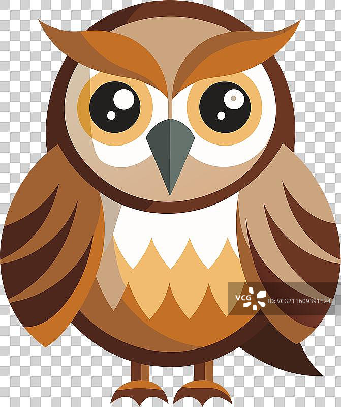 加拉帕戈斯拟鲣鸟学习卡哇伊图片素材