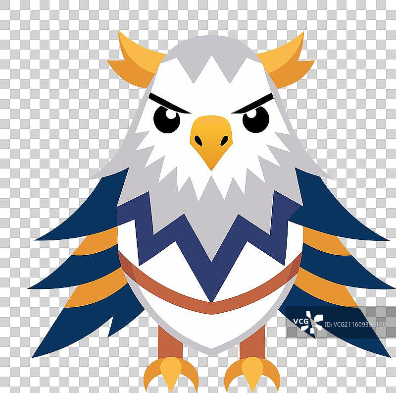 加拉帕戈斯褐鲣鸟，可爱图片素材