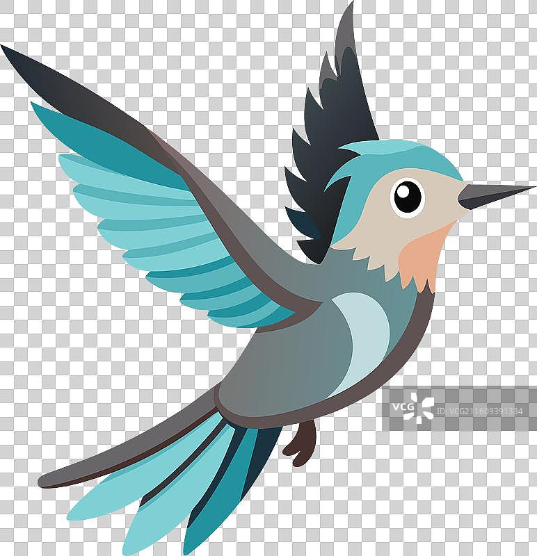 加拉帕戈斯嘲鸫鸟，卡哇伊风格图片素材