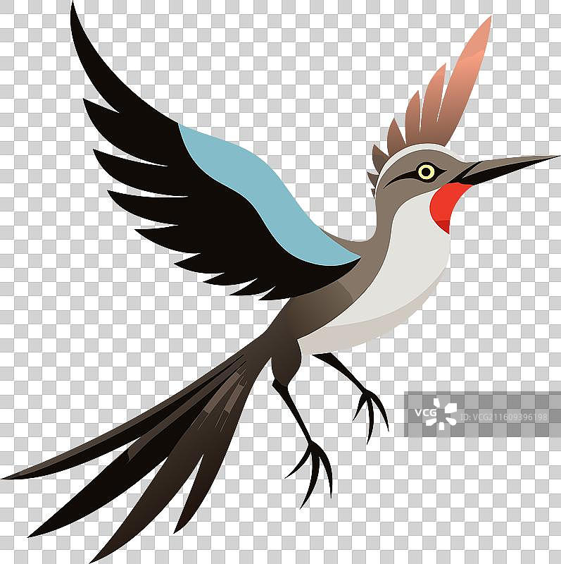 加拉帕戈斯嘲鸫，卡哇伊风格的鸟类跳跃图片素材