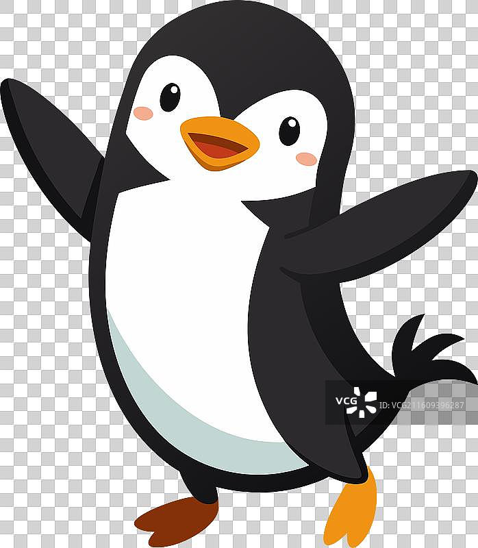 可爱的加拉帕戈斯企鹅在跳舞图片素材