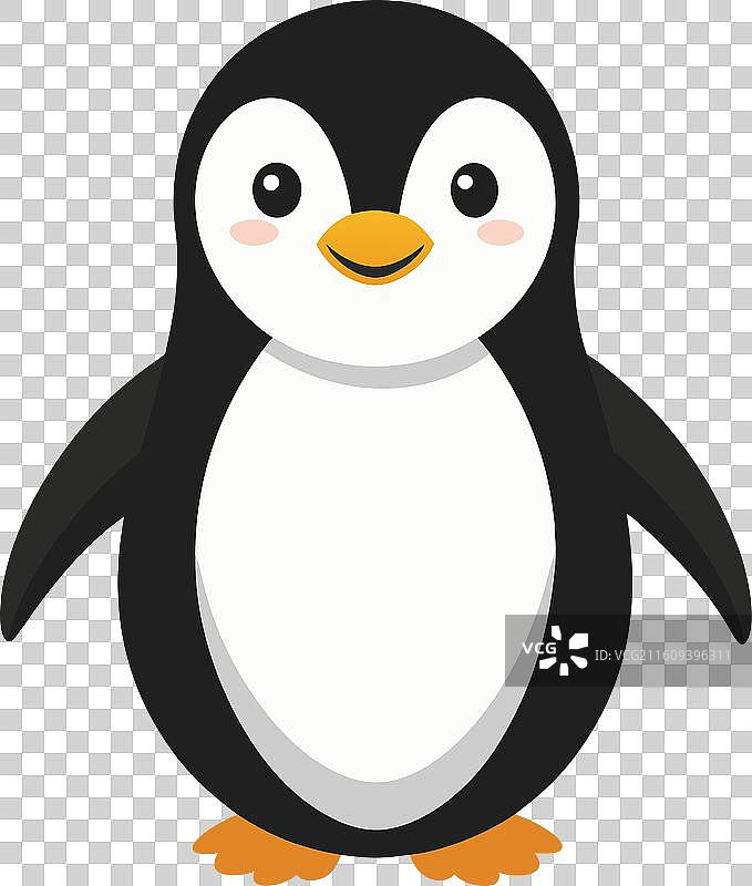 加拉帕戈斯企鹅卖萌图片素材