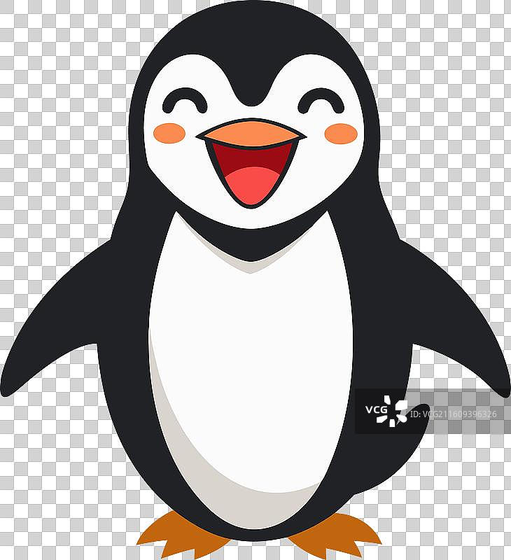 加拉帕戈斯企鹅的可爱笑脸图片素材