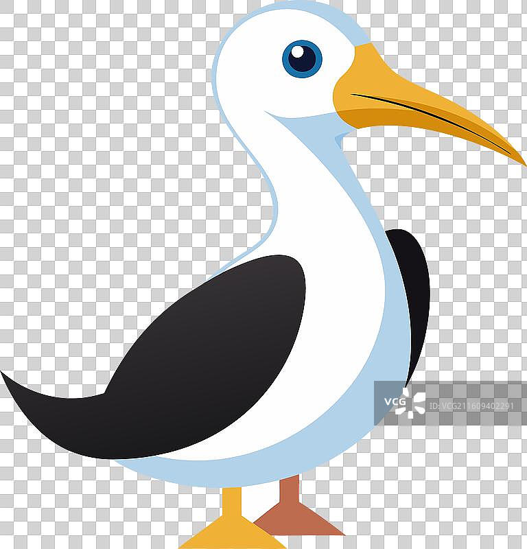 加拉帕戈斯秧鸡的叫声，可爱图片素材