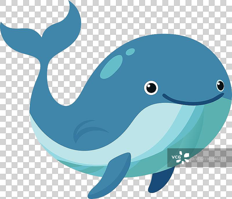 加拉帕戈斯鳐鱼 卡哇伊的笑脸图片素材