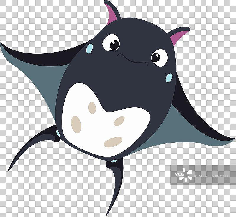 加拉帕戈斯鳐鱼，可爱风格图片素材