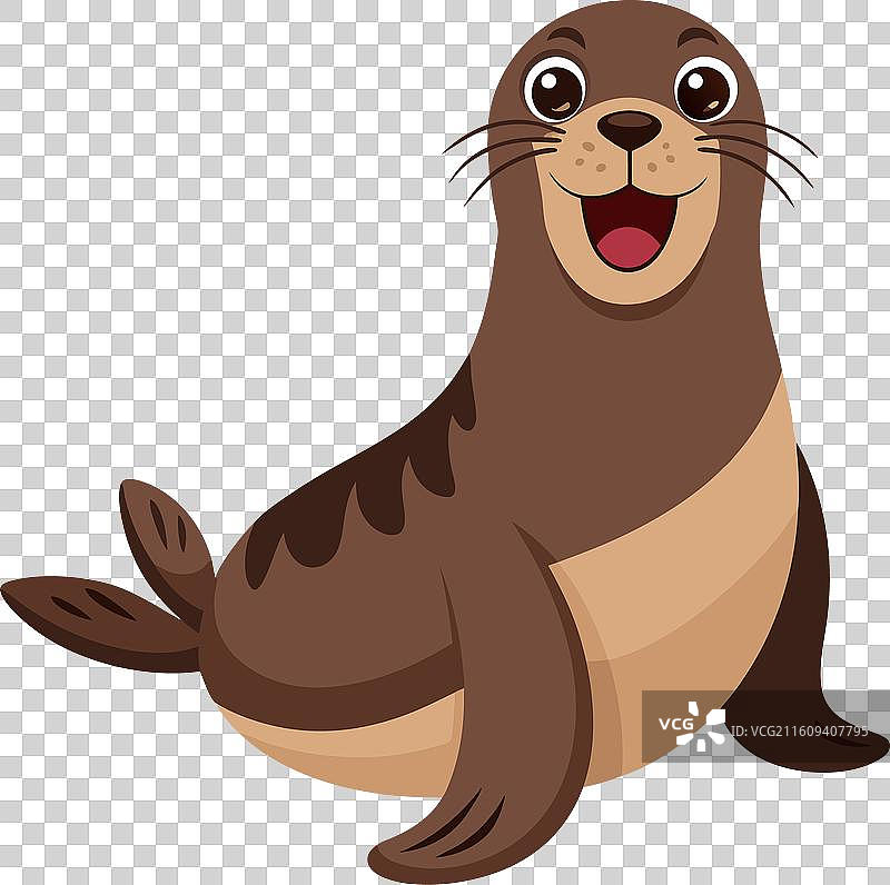 加拉帕戈斯海狮发出卡哇伊的叫声图片素材