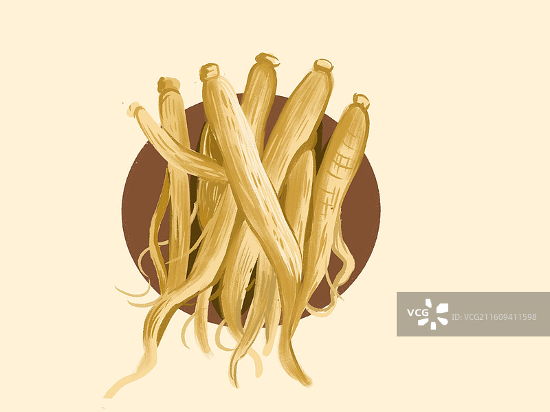 药材党参图片素材