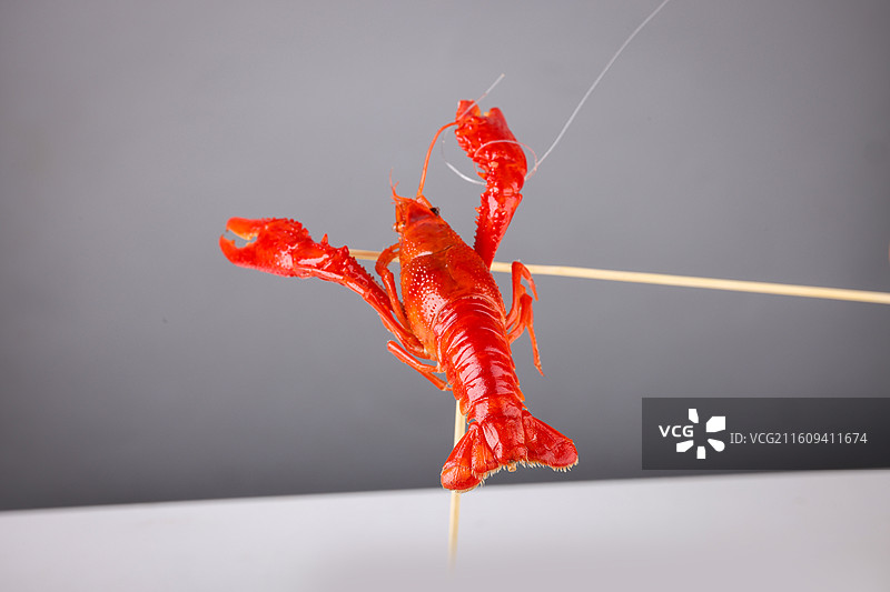 小龙虾图片素材