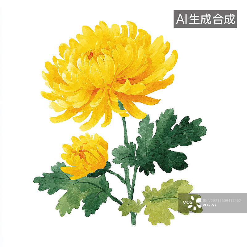 【AI数字艺术】黄色菊花水彩画图片素材