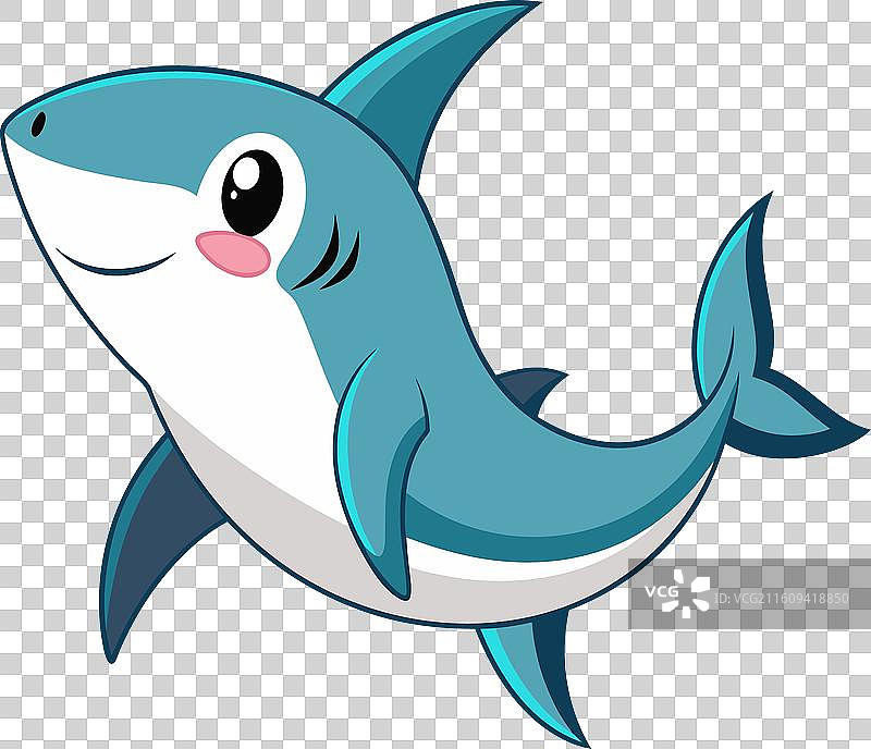 加拉帕戈斯丝鲨鱼 尖叫 卡哇伊图片素材