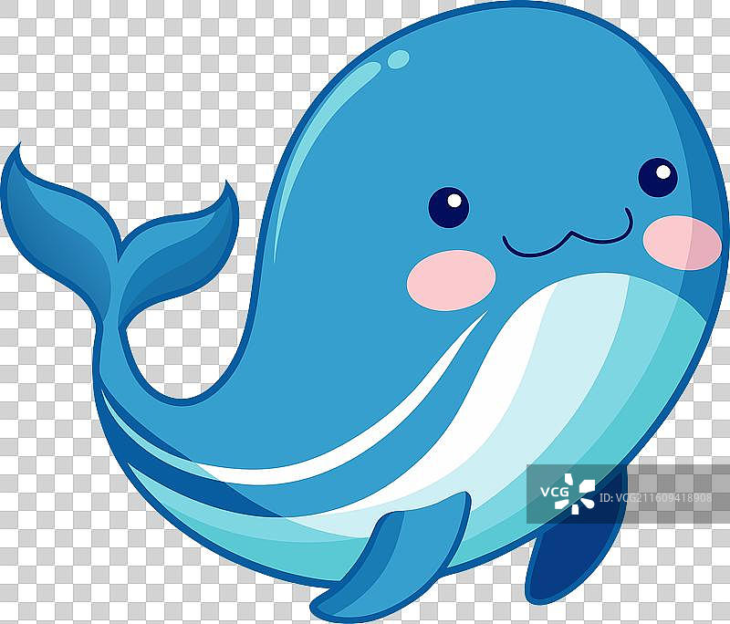 加拉帕戈斯抹香鲸鱼 飞行 可爱图片素材