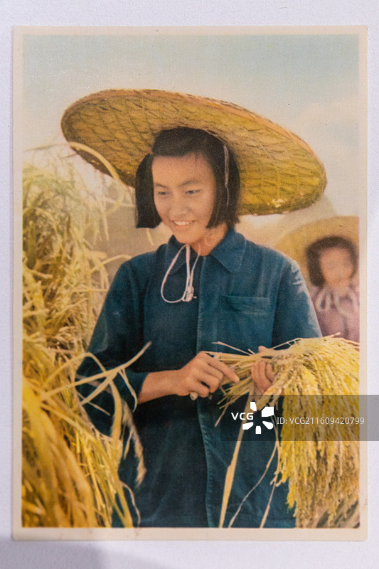 台州博物馆展出文物1961年《中国各民族》有52个一人普登记400多甄定39个二人普54个三人普56图片素材