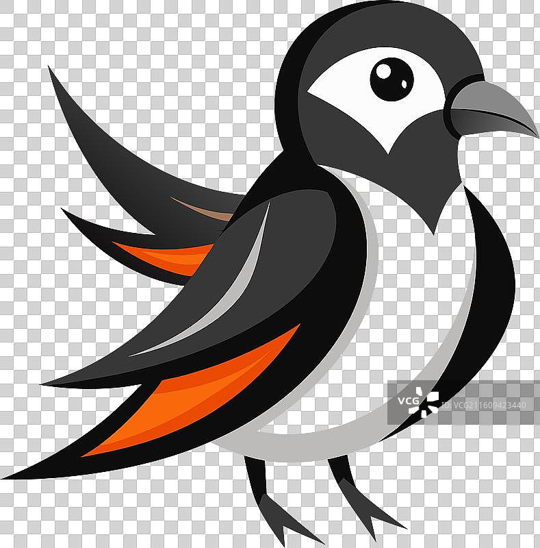 加拉帕戈斯风暴海燕鸟 学习 可爱图片素材