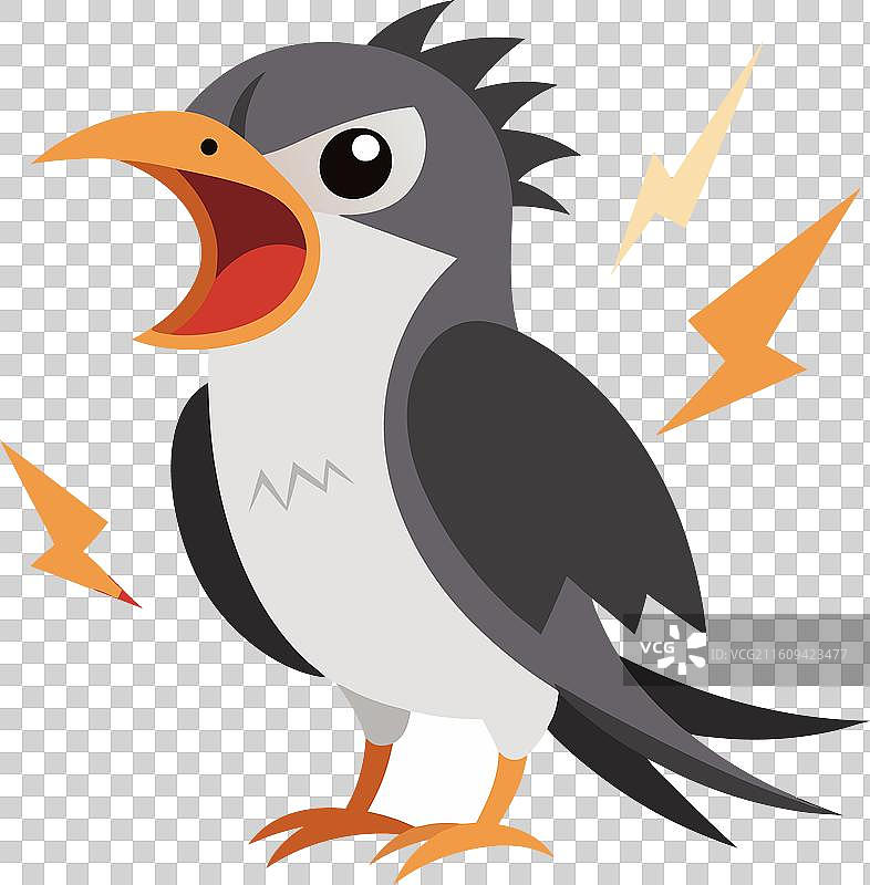 加拉帕戈斯风暴海燕鸟发出可爱叫声图片素材