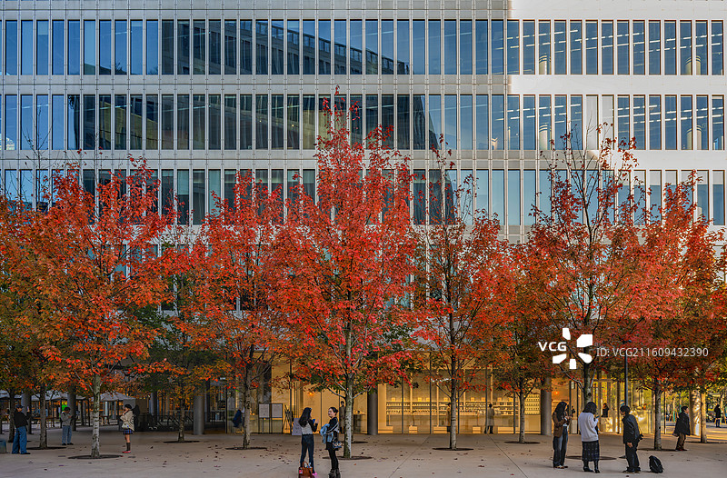 办公大楼前图片素材