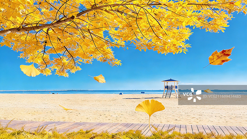 秦皇岛金梦海湾：秋日银杏叶飘落的海滨木栈道风景图片素材