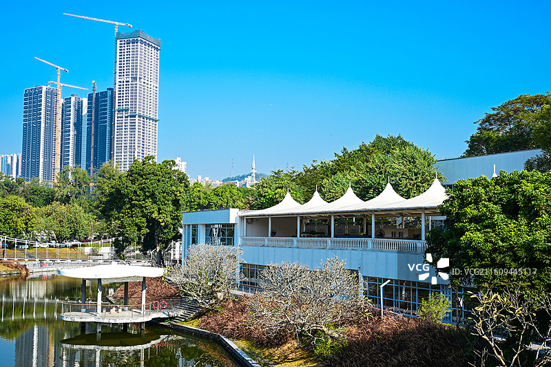 深圳东湖公园湖畔建筑与高楼倒影景观图片素材