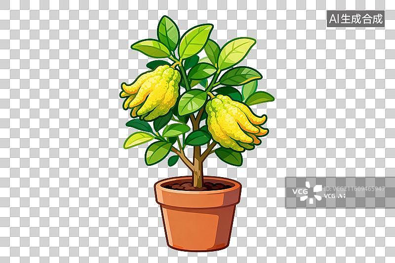 【AI数字艺术】卡通风格，盆栽植物，佛手柑PNG格式的免扣元素图片素材