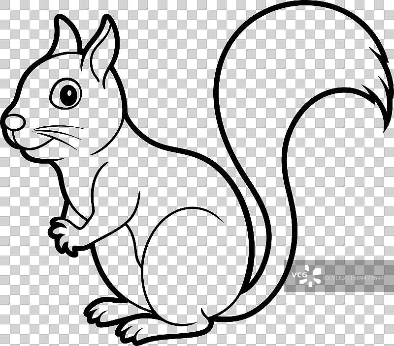 松鼠图标图片素材