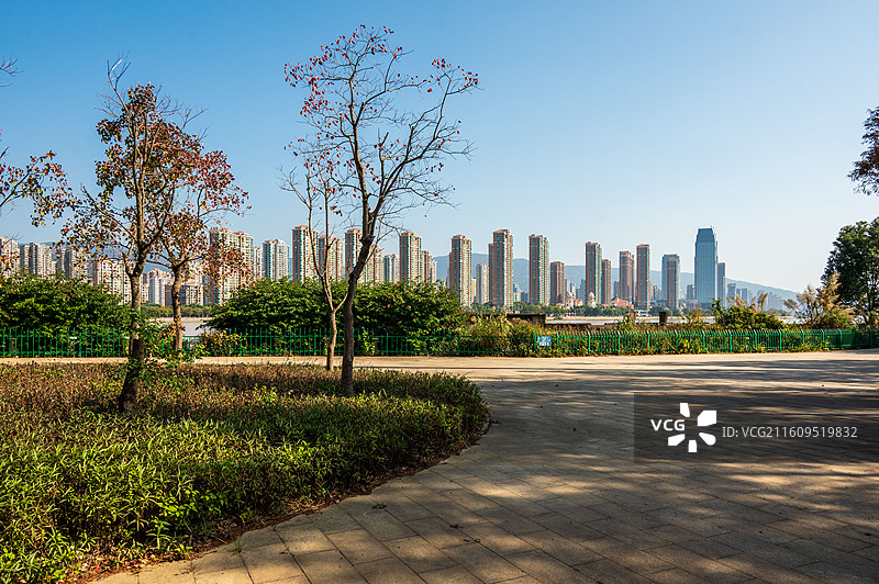 福州三江口生态公园红树林步道秋冬景色晴天.jpg图片素材