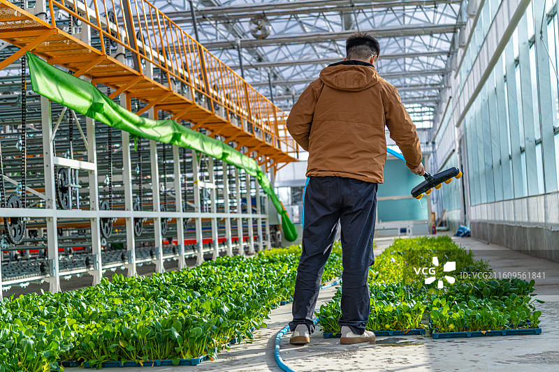 科技温室大棚  育苗工厂  乌鲁木齐图片素材