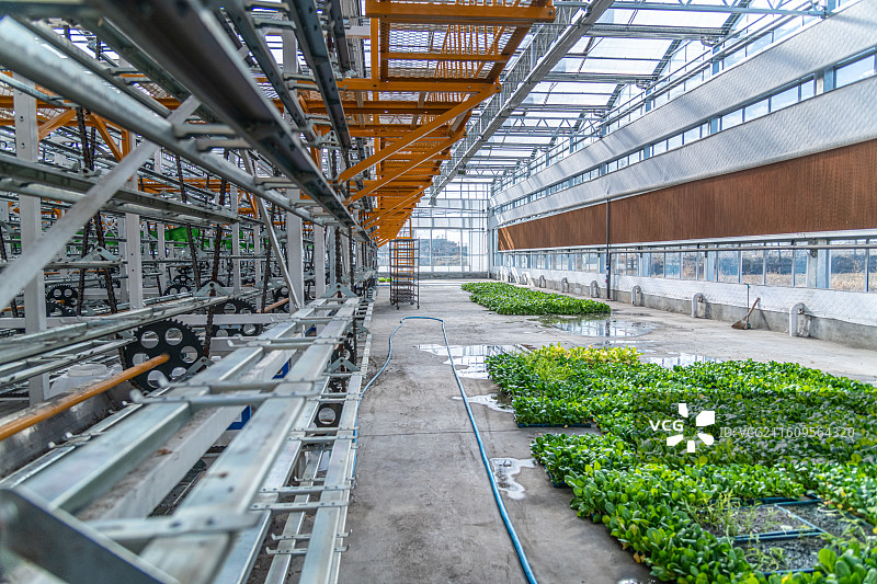 科技温室大棚  育苗工厂  乌鲁木齐图片素材