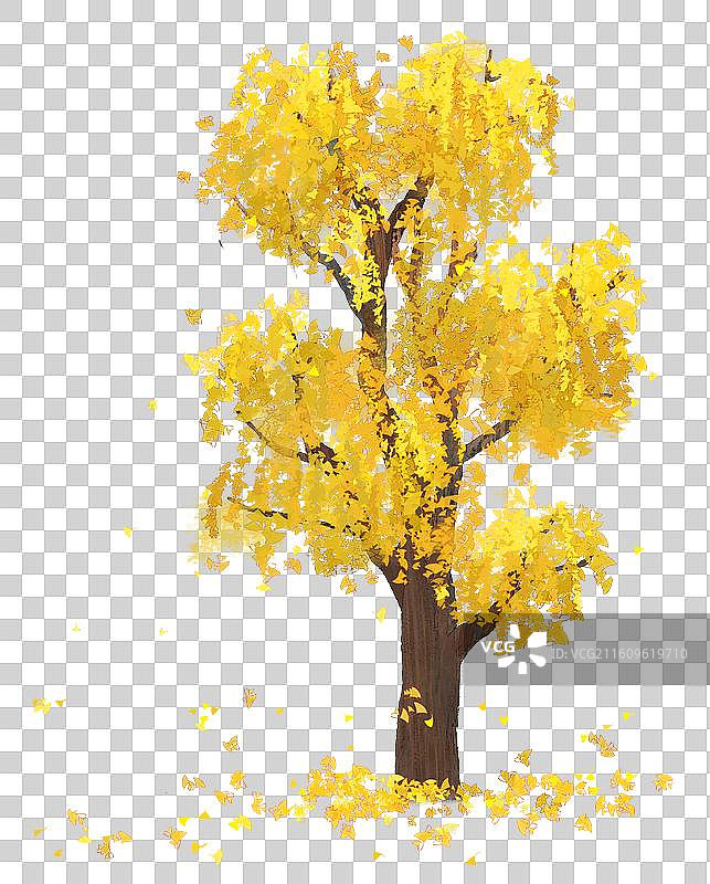 银杏树银杏叶飘落水墨插画图片素材