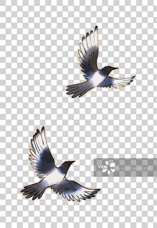 两只喜鹊插画元素图片素材