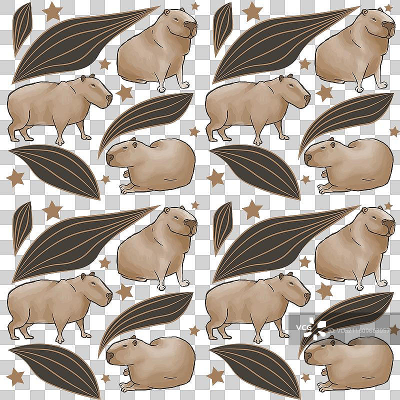 水豚图案星星叶子图片素材