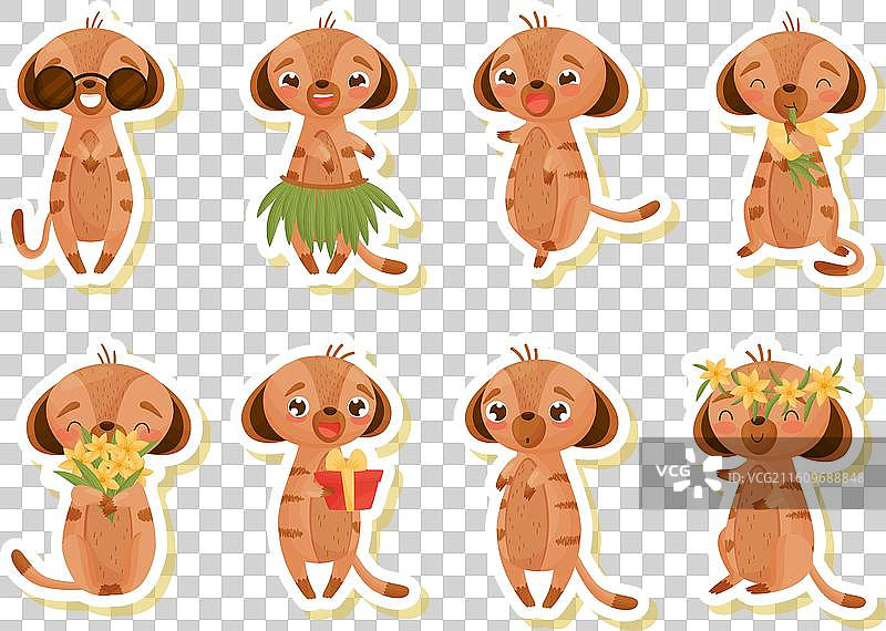 可爱动物猫鼬，鼻子漂亮，画面空白图片素材