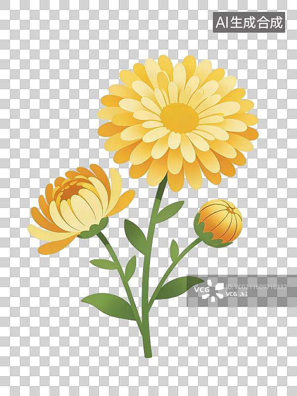 【AI数字艺术】菊花免抠图形图片素材