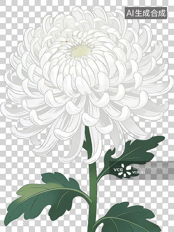 【AI数字艺术】菊花免抠图形图片素材