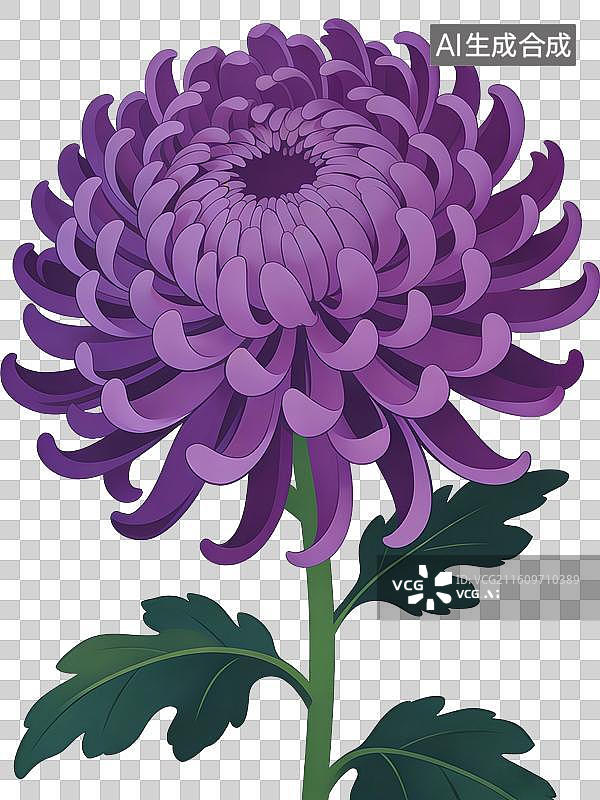 【AI数字艺术】菊花免抠图形图片素材