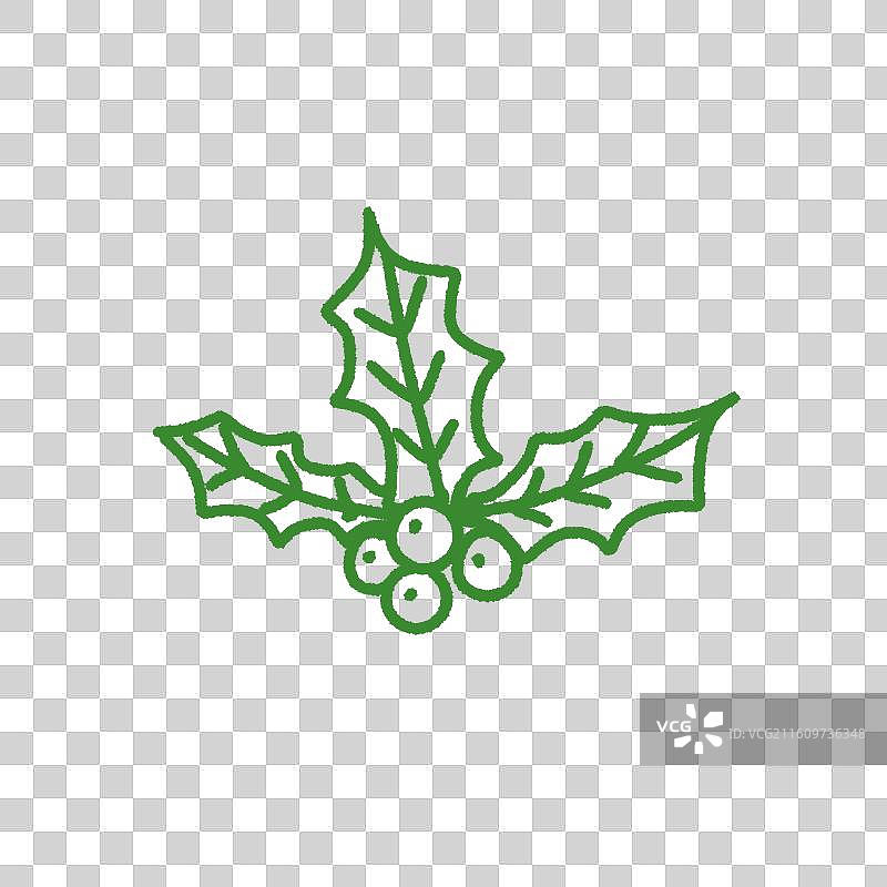 手绘 冬青浆果 装饰图案图片素材