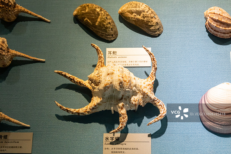 常州博物馆水字螺图片素材