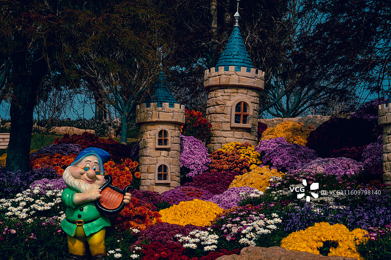 广西文旅南宁青秀山2025年秋天菊花展图片素材