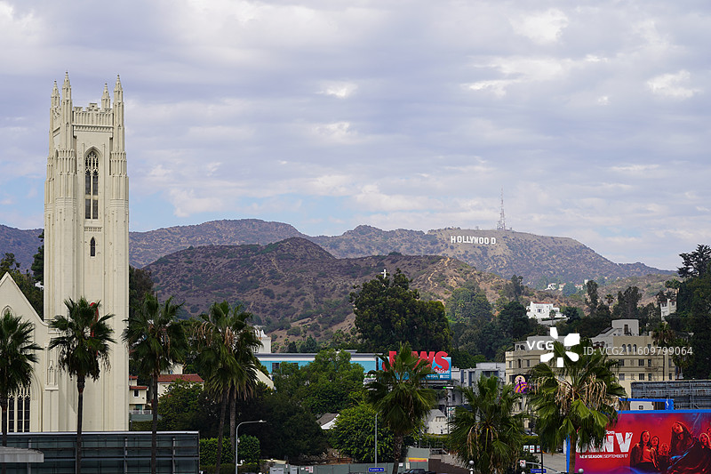 美国之旅留下的美好回忆之加州的阳光全世界最灿烂 陆地生物  一起看海图片素材