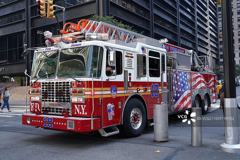 美国之旅留下的美好回忆之加州的阳光全世界最灿烂 陆地生物  一起看海图片素材