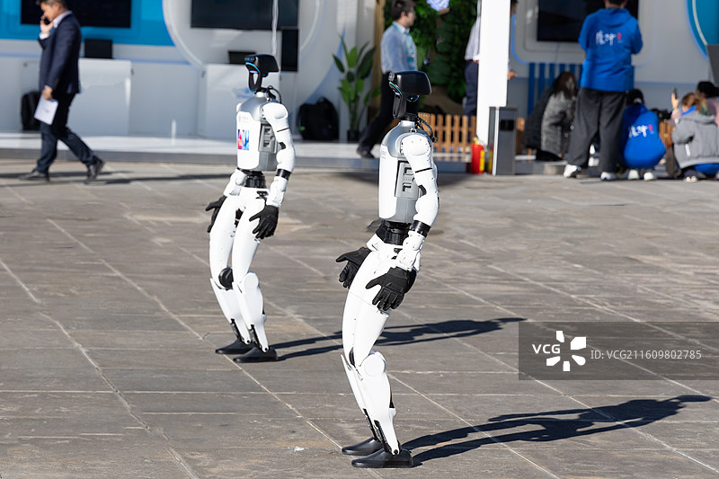 2025年腾冲科学家论坛图片素材