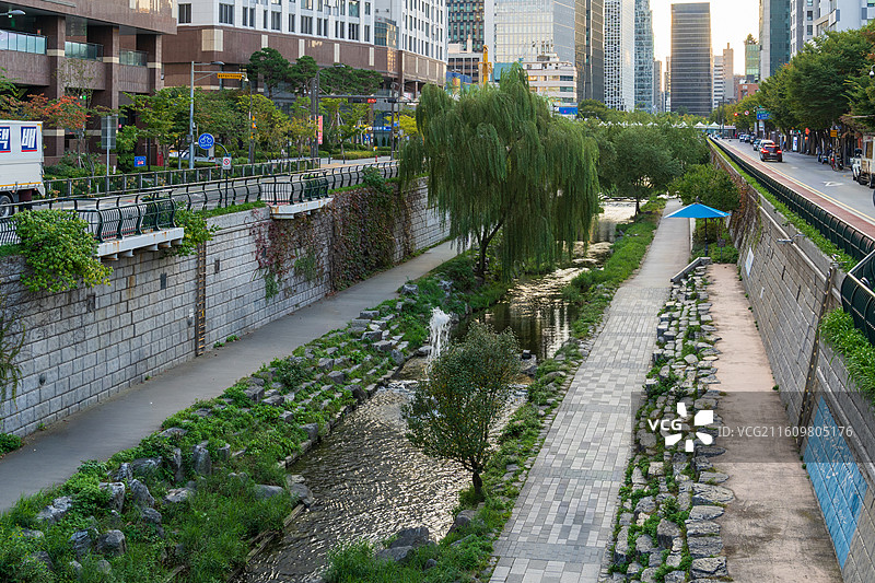 首尔清溪川城市景观与野生动物图片素材
