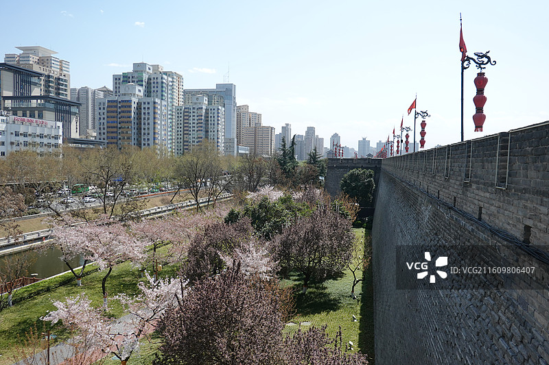 陕西西安明城墙西安城墙：中山门小东门外环城公园东京樱花染井吉野盛开图片素材