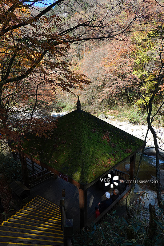 四川省巴中市南江县光雾山诺水河世界地质公园：米仓山景区：黑熊沟秋景秋色图片素材