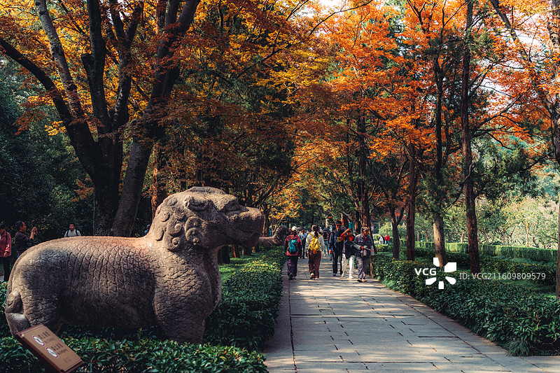 南京明孝陵图片素材