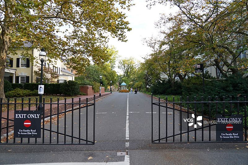 美国往事之黄石公园尼亚加拉瀑布普林斯顿大学纽约时代广场自由女神世界的十字路口图片素材