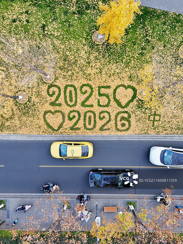 南京银杏跨年城墙玄武湖图片素材